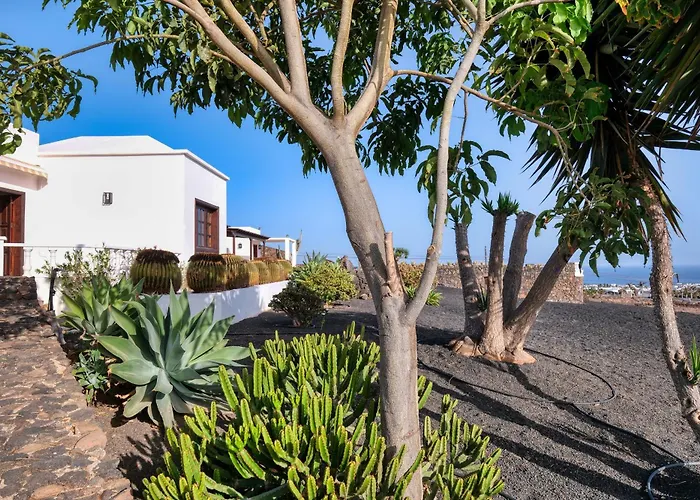 Luciano 'spirit Of The Canaries' By Lanzarote