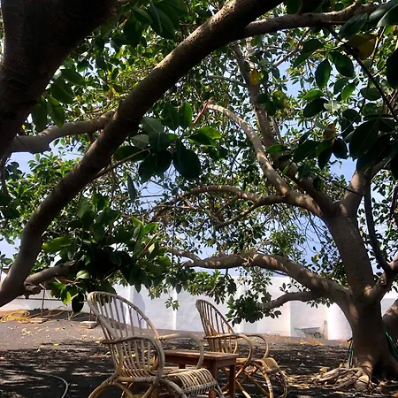 Villa Luciano 